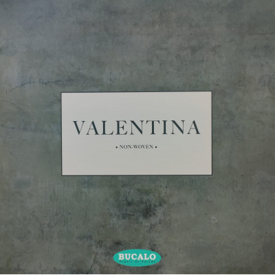 Papel de Parede - Valentina
