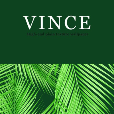 Papel de Parede - Vince