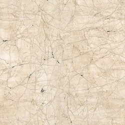 Painel de Parede New Spirit 32756