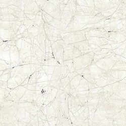 Painel de Parede New Spirit 32757