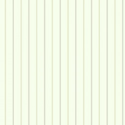 Papel De Parede Kashmir NY4853