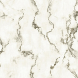 Papel De Parede Lionel 660122