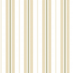 Papel De Parede Stripes 3232