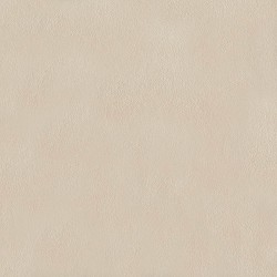 Papel de parede, textura, bege