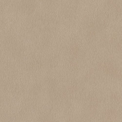 Papel de Parede African Queen III 751055