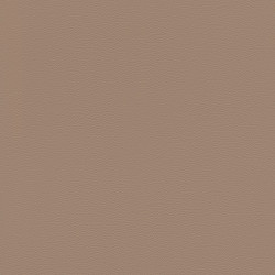 Papel de Parede African Queen III 752724