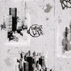 Papel de Parede Boys & Girls 6 6840-11