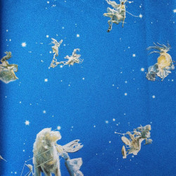 Papel de Parede Bright Wall 683601