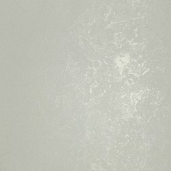 Papel de Parede Classici 6 6A096905R
