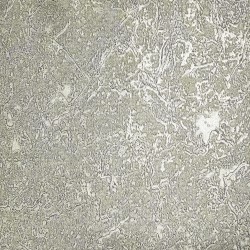 Papel de Parede Classici 6 6A096908R