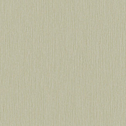 Papel de Parede Criativo CR333122R