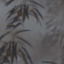 Papel de parede, folhagem, cinza com detalhes azul