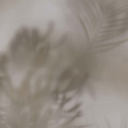 Papel de parede, folhagem, cinza com detalhes marrom