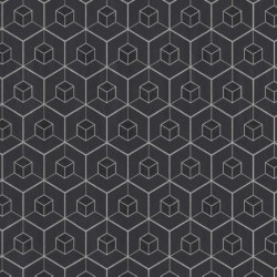 Papel de parede, geométrico, hexágono, preto com prata