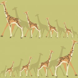 Papel de parede, infantil, safari, girafas, laranja e verde