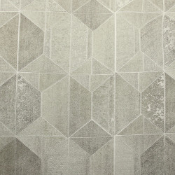 Papel de Parede Elegance 5 EL500603R