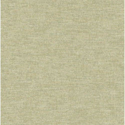 Papel de Parede Icon A72104