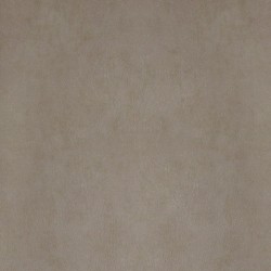 Papel de parede, textura, bege