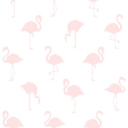 Papel de parede, infantil, teen, flamingos, rosa com fundo branco