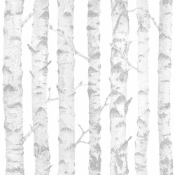 Papel de parede, troncos cinza, com fundo branco