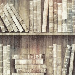 Papel de parede, prateleiras de livros, marrom