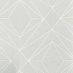 Papel de Parede Neo Geometric NG1913