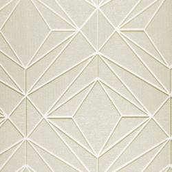 Papel de Parede Neo Geometric NG1915