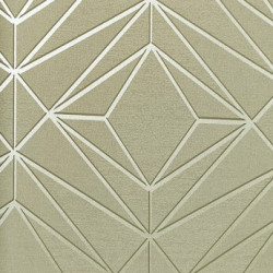 Papel de Parede Neo Geometric NG1916