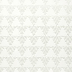 Papel de Parede Neo Geometric NG1942