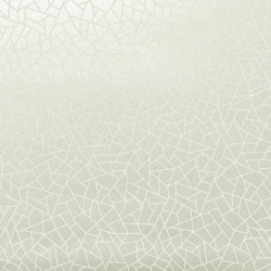 Papel de Parede Neo Geometric NG1963