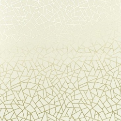 Papel de Parede Neo Geometric NG1964