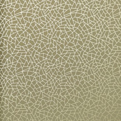 Papel de Parede Neo Geometric NG1965