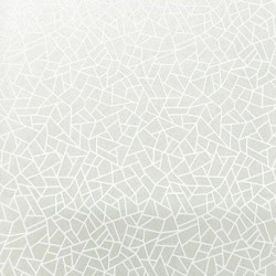 Papel de Parede Neo Geometric NG1966