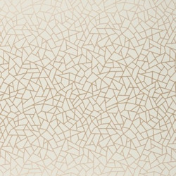 Papel de Parede Neo Geometric NG1967