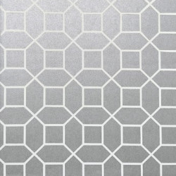 Papel de Parede Neo Geometric NG1972
