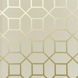 Papel de Parede Neo Geometric NG1974