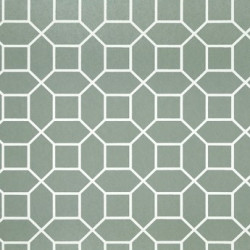 Papel de Parede Neo Geometric NG1975