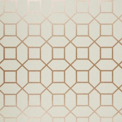 Papel de Parede Neo Geometric NG1976