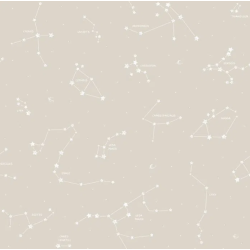 Papel de Parede Pippo 3361-4