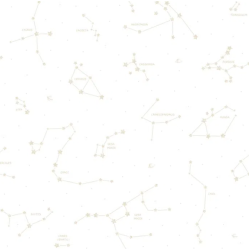 Papel de Parede Pippo 3362-3