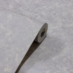 Papel de Parede Rochelle PDL02MV