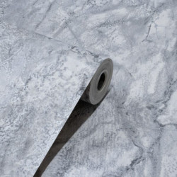 Papel de Parede Rochelle PDL8101