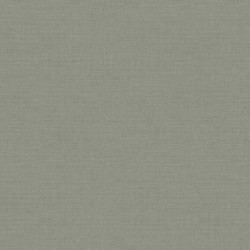 Papel de Parede Structured Walls A84924