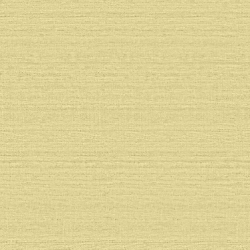 Papel de Parede Texture II TX-2009
