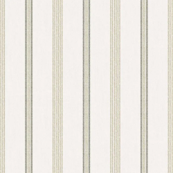 Papel de Parede Top Stripes 38427