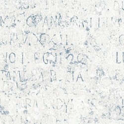 Papel de Parede Urban Chic 6462-10