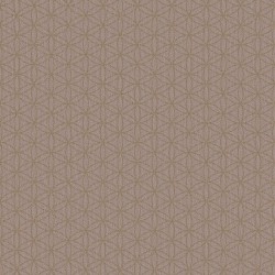 Papel de Parede Modern Maison MM526404