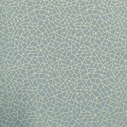 Papel de Parede Neo Geometric NG1962