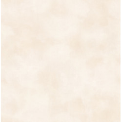 papel de parede Evolution 2 20733