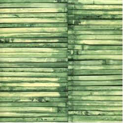 Papel de parede, madeira, verde